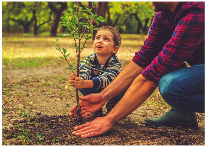 father and son planting tree