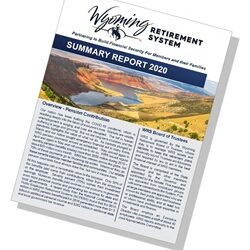 2020 Annual Summary Report