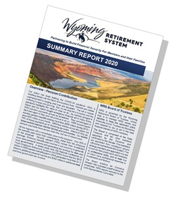 2020 Annual Summary Report